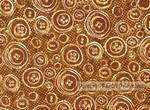 Buttons and Blooms  Brown Buttons
